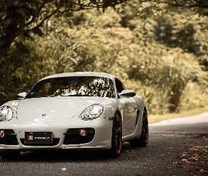 Porsche Cayman S, Droga