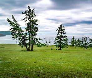 Jezioro, Góry, Niebo, Łąka, Błękitne, Drzewa