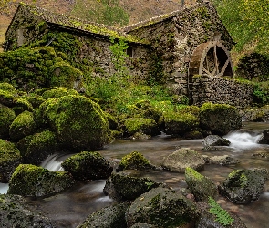 Młyn wodny, Rzeka, Anglia, Kamienie, Borrowdale, Cumbria, Omszałe