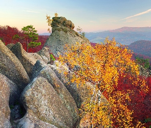 Drzewa, Jesień, Karpaty, Brzozy, Skały Dobosza, Ukraina, Góry