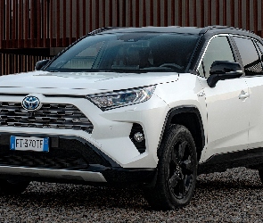 Biała, Toyota RAV4