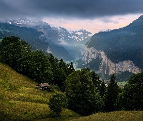 Szwajcaria, Drzewa, Dolina Lauterbrunnen, Domy, Lasy, Alpy Berneńskie, Gmina Lauterbrunnen, Wengen, Góry