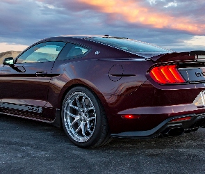 Ford Mustang Shelby Super Snake, Tył