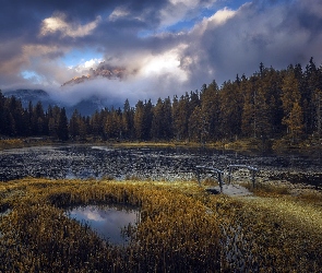 Włochy, Góry, Niebo, Prowincja Belluno, Mostek, Antorno Lake, Las, Chmury, Jezioro, Zachmurzone