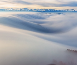 Drzewa, Góry, Chmury, Mgła