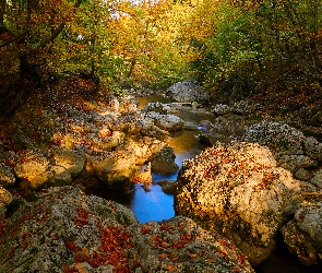 Jesień, Las, Kamienie, Rzeka
