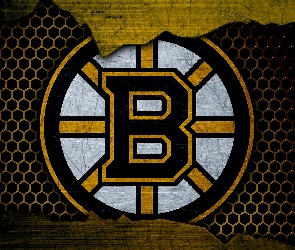 Logo, Boston Bruins, Klub hokejowy