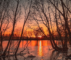 Bezlistne, Zachód słońca, Jesień, Drzewa, Staw