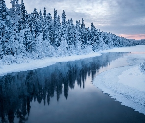 Rzeka, Drzewa, Ośnieżone, Śnieg, Zima