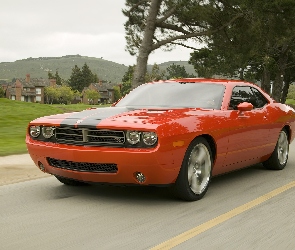 Jezdne, Właściwości, Dodge Challenger, Droga