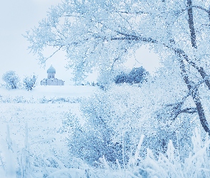 Zima, Drzewa, Cerkiew, Szron, Trawa, Śnieg