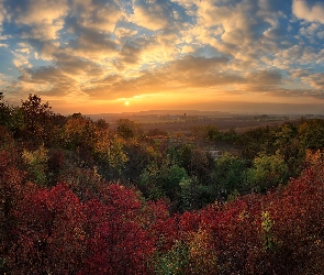 Jesień, Lasy, Chmury, Drzewa, Zachód słońca, Kolorowe