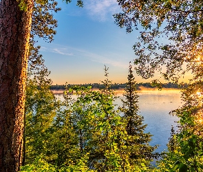 Jezioro, Zachód słońca, Lasy, Drzewa