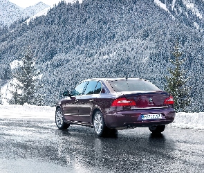 Lód, Zima, Bordowa, Skoda Superb