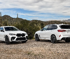 Competition, BMW X5 M, Białe, Dwa, BMW, BMW X6 M