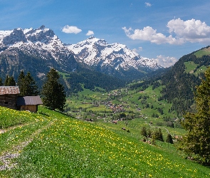 Dolina, Ścieżka, Łąka, Szwajcaria, Alpy, Góry, Kanton Berno, Domy
