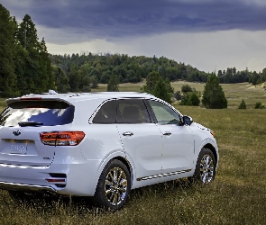 Kia Sorento SXL, Łąka
