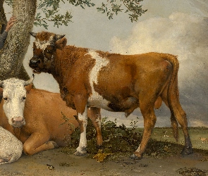 Obraz, Drzewo, Malarstwo, Mężczyzna, Krowy, Paulus Potter, Byki, Owce