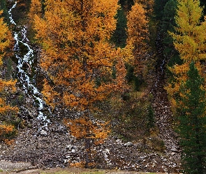 Las, Kamienie, Wodospady, Drzewa, Jesień