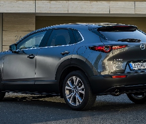 Mazda CX-30, Tył