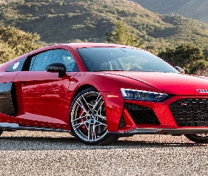 Audi R8 Coupe Performance, Czerwone