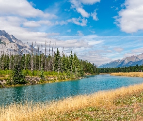 Alberta, Park Narodowy Banff, Rzeka, Kanada, Chmury, Góry, Las