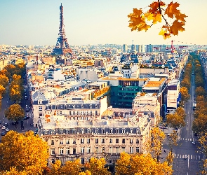 Francja, Jesień, Wieża Eiffla, Paryż