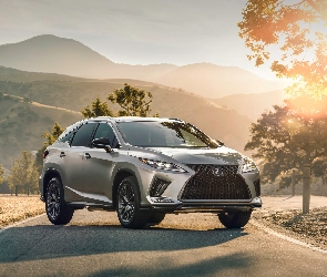 Lexus RX 350 F, Droga