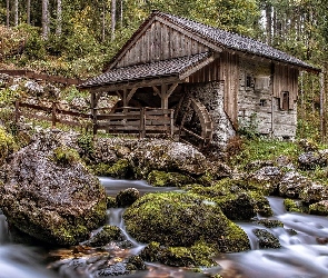 Kamienie, Omszałe, Młyn wodny, Drewniany, Las, Rzeka