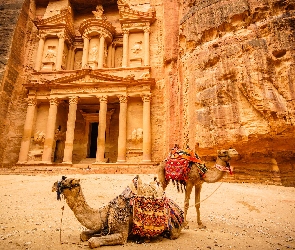 Petra, Jordania, Wielbłądy, Ruiny, Skały, Różowe Miasto, Skarbiec Faraona Al-Chazna