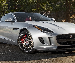 Srebrny, Jaguar F-Type