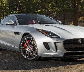 Jaguar F-Type, Srebrny