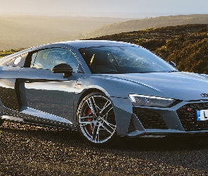 Audi R8 Coupe Performance, Bok