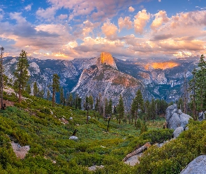 Stan Kalifornia, Góry, Stany Zjednoczone, Drzewa, Sierra Nevada, Park Narodowy Yosemite, Chmury, Skały