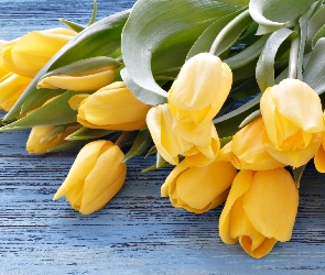 Kwiaty, Tulipany, Nierozwinięte, Żółte
