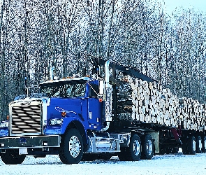 Sterling Truck, las, Drewno