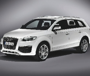 Relingi, Dachowe, Audi Q7