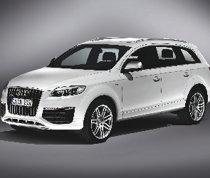 Audi Q7, Dachowe, Relingi