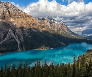 Canadian Rockies, Drzewa, Góry, Jezioro Peyto Lake, Alberta, Chmury, Kanada, Park Narodowy Banff