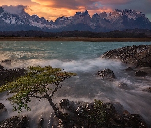 Chile, Park Narodowy Torres del Paine, Drzewo, Patagonia, Cordillera del Paine, Góry, Jezioro, Pehoe Lake, Wschód słońca, Skały