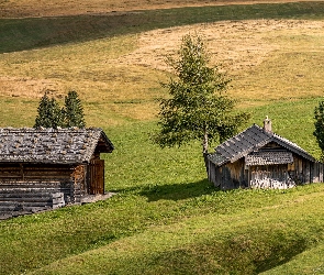 Płaskowyż, Drzewa, Drewniane, Włochy, Domki, Łąki, Seiser Alm, Dolina Val Gardena, Wzgórza