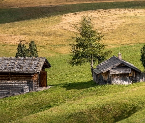 Dolina Val Gardena, Łąki, Seiser Alm, Płaskowyż, Włochy, Domki, Drewniane, Drzewa, Wzgórza