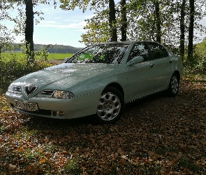 Alfa Romeo 166, Drzewa