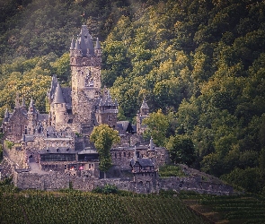 Niemcy, Gmina Cochem, Zamek Reichsburg, Las