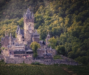 Zamek Reichsburg, Niemcy, Gmina Cochem, Las