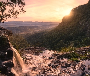 Roślinność, Wzgórza, McPherson Range, Drzewa, Wodospad Morans Falls, Queensland, Park Narodowy Lamington, Zachód słońca, Australia, Góry