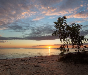 Drzewa, Plaża, Zachód słońca, Morze