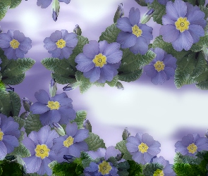 Kwiaty, Grafika 2D, Niebieskie