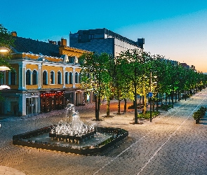 Drzewa, Ulica, Kowno, Latarnie, Fontanny, Litwa, Domy