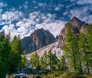 Austria, Tyrol, Alpy, Góry, Niebo, Drzewa